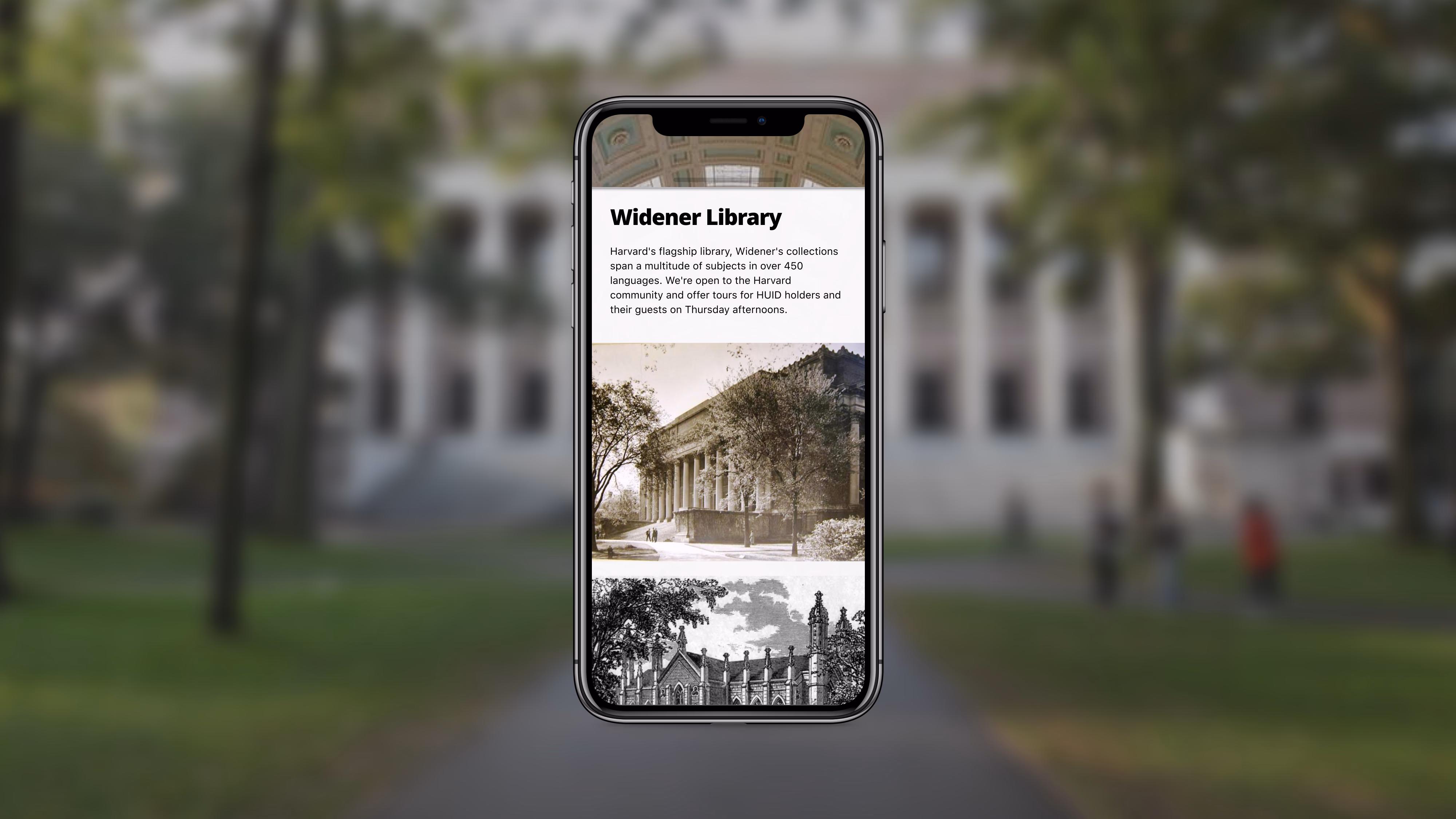 Library detail — Widener Library with collection overview and historical photos